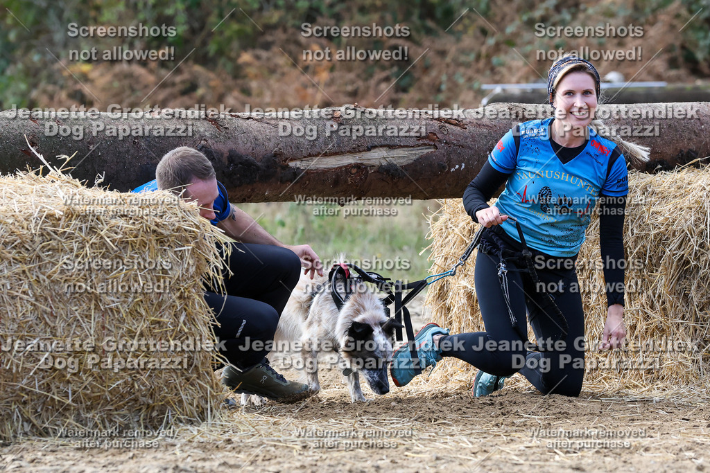 Dog Paparazzi - Strongdog 10-25-5426 | Dog Paparazzi Jeanette Grottendiek Fotografie & Videografie - Realisiert mit Pictrs.com