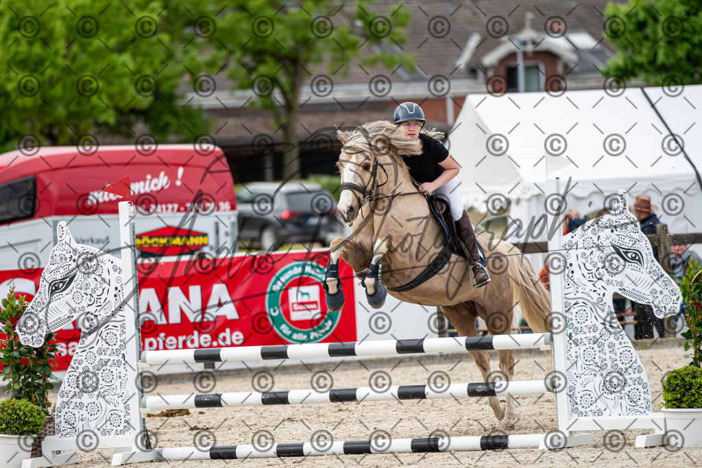 KPT_7389 | andre_photographic