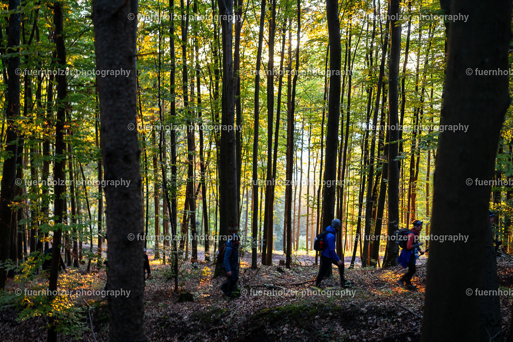 fuernholzer_251004-C3-118 | © Christian Fuernholzer | fuernholzer photography