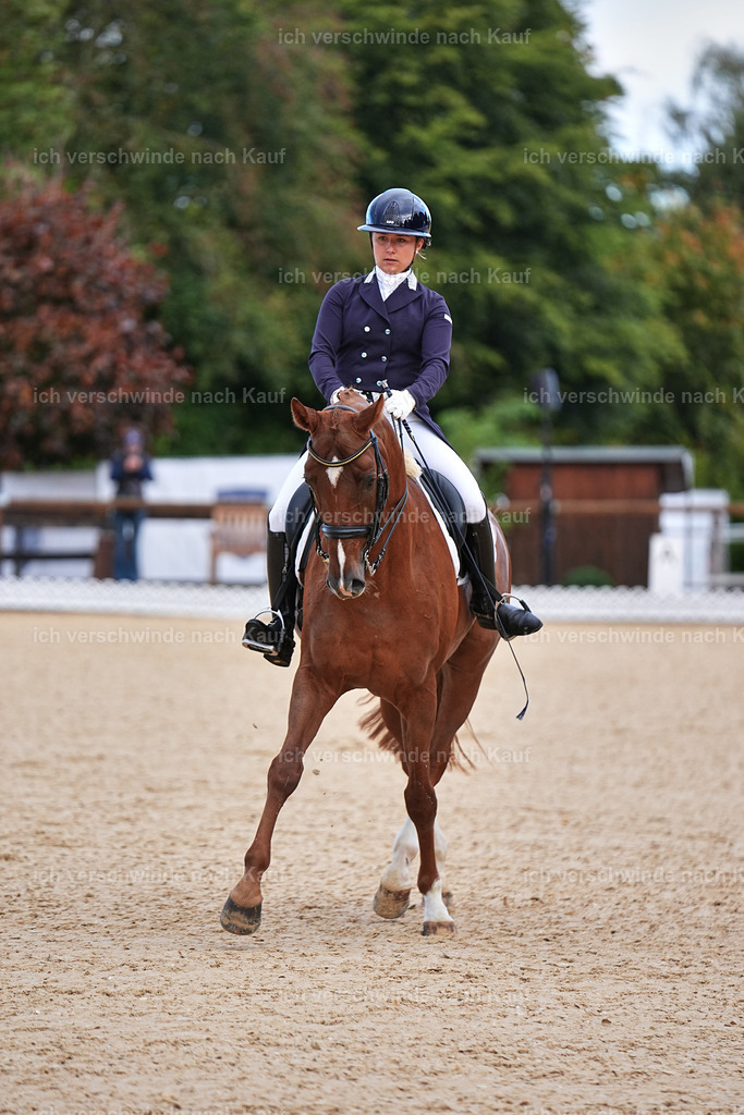 10-113-ST.GEORG SPECIAL -Marixx-3312 | working equitationturnier fotograf videograf stoibphotography marixx film working equitation deutschland reitsport turnierfotografie eventfotografie equestrian events