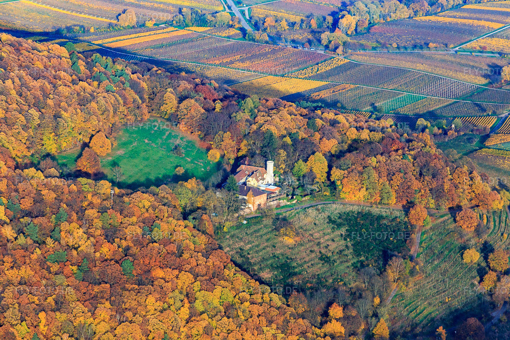 Luftbild: Slevogthof in Leinsweiler im Bundesland Rheinland-Pfalz in Deutschland. Foto: IMG_085164.jpg vom 08.11.2015 durch Werner Riehm/FLY-FOTO.de
