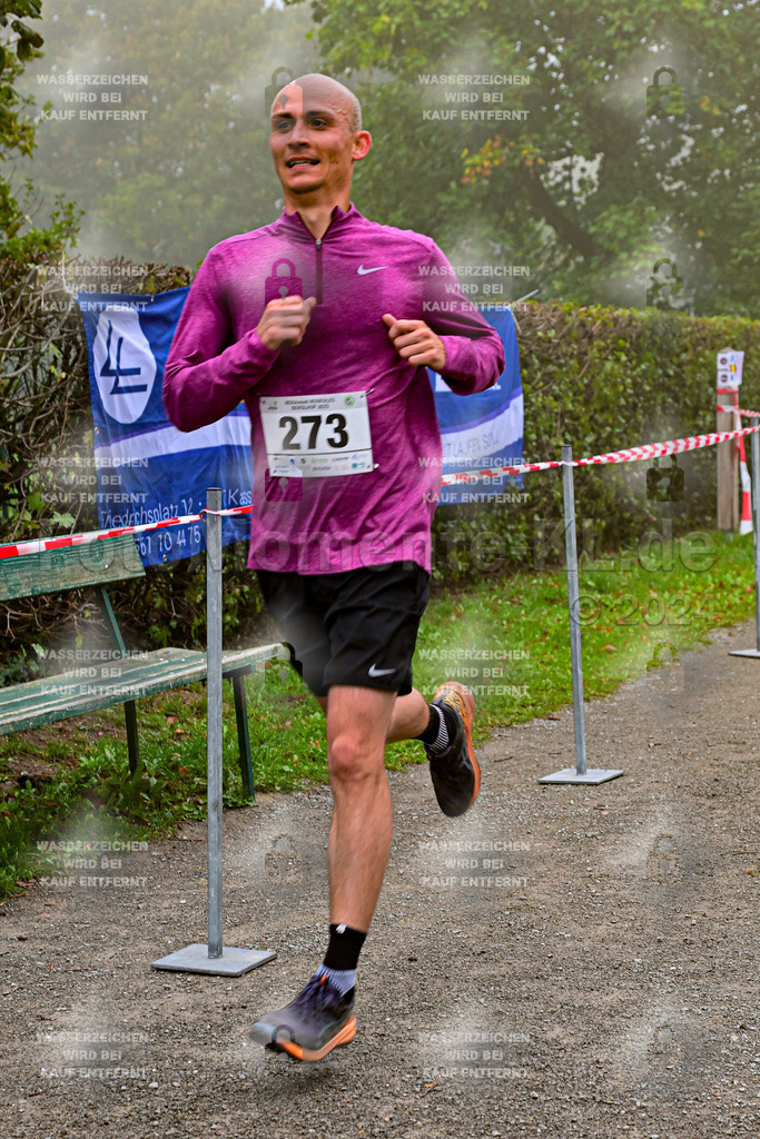 Z8N_1257 | la-psv - Realisiert mit Pictrs.com