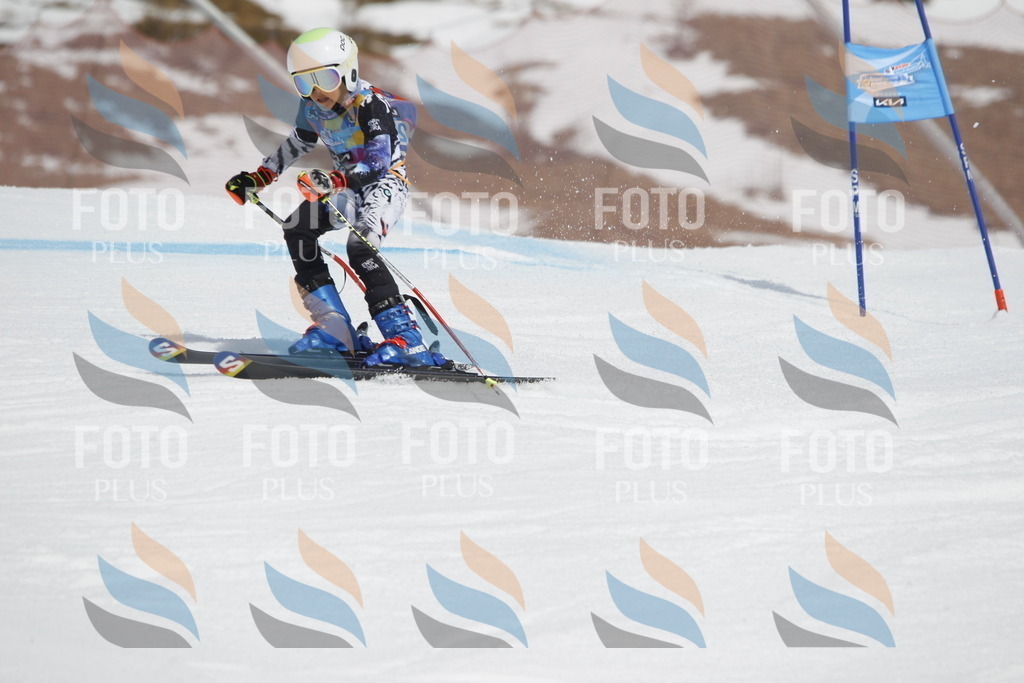 _U3G2364 | holidayphoto