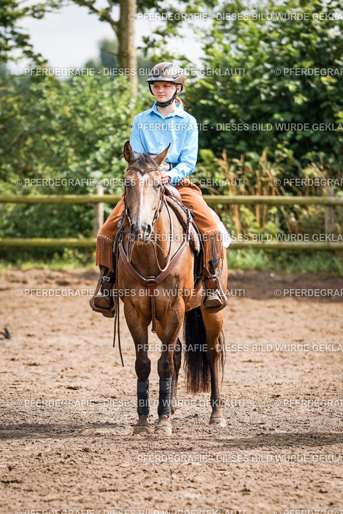 DSC08400 | Pferdegrafie