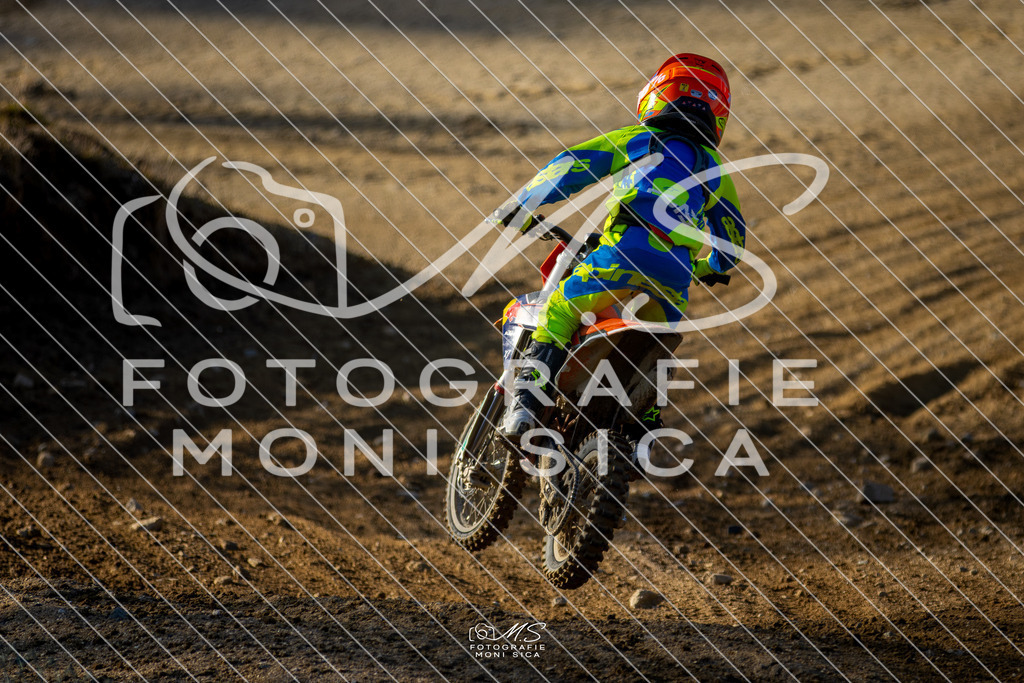 20260307-162A0727 | moni.sica.fotografie - Realisiert mit Pictrs.com