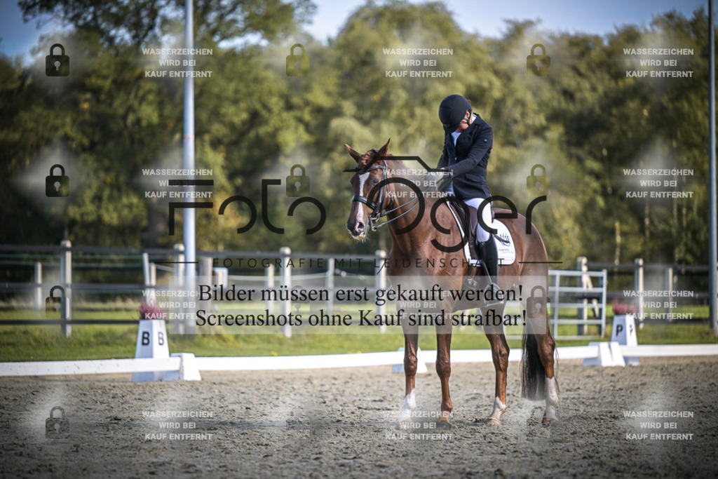 DOS_3651 | Entdecke hochwertige Reitturnierfotos von Foto Oger. Professionell, emotional und authentisch – jetzt Lieblingsmomente im Shop bestellen.Deutschlandweite Turnierfotografie. - Realisiert mit Pictrs.com