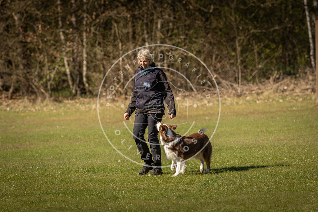 Pfotenfotografie_DV3A0453 | Hundefotografie, Tierfotograf, Pfotenfotografie, Fotoshooting Hund, Hunde Portrait, Hundesport, Hundeportraits, Heideshooting, Hunde, Sportfotograf, Hundefotograf, Turnierhundsport, THS,  - Realisiert mit Pictrs.com