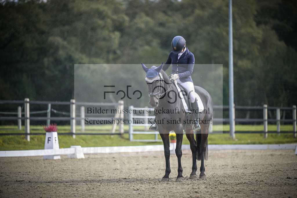 DOS_B605 | Entdecke hochwertige Reitturnierfotos von Foto Oger. Professionell, emotional und authentisch – jetzt Lieblingsmomente im Shop bestellen.Deutschlandweite Turnierfotografie. - Realisiert mit Pictrs.com