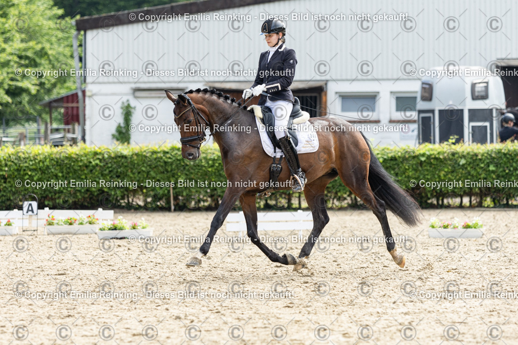 CL5A5461 | Emilia Reinking Fotografie - Realisiert mit Pictrs.com