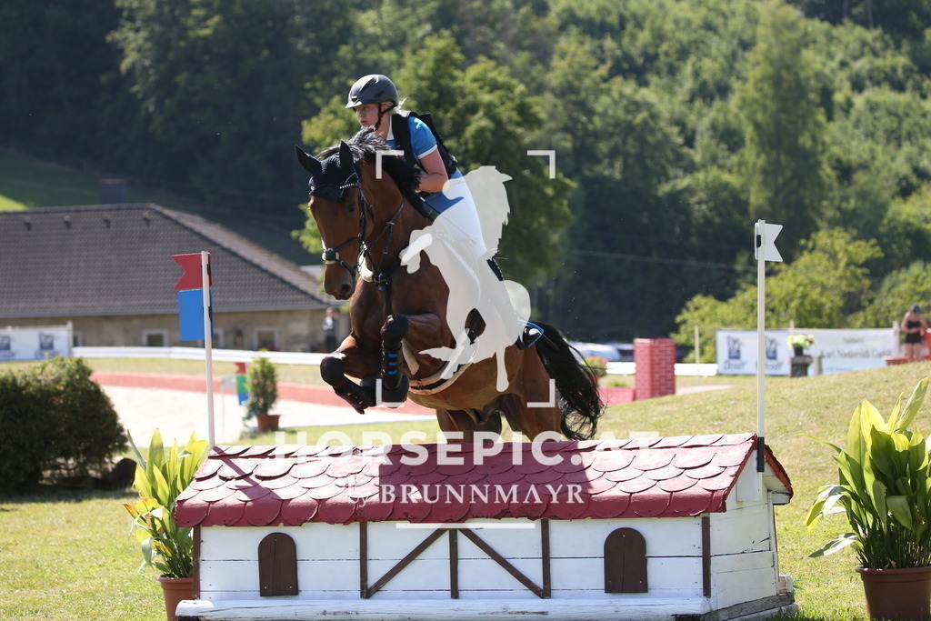 DL2Q1674 | Willkommen bei Brunnmayr - Design & Fotografie – Ihrem Spezialisten für Reitturniere und Pferdeveranstaltungen in Oberösterreich, Salzburg und Bayern! Seit über 17 Jahren sind wir leidenschaftlich dabei.