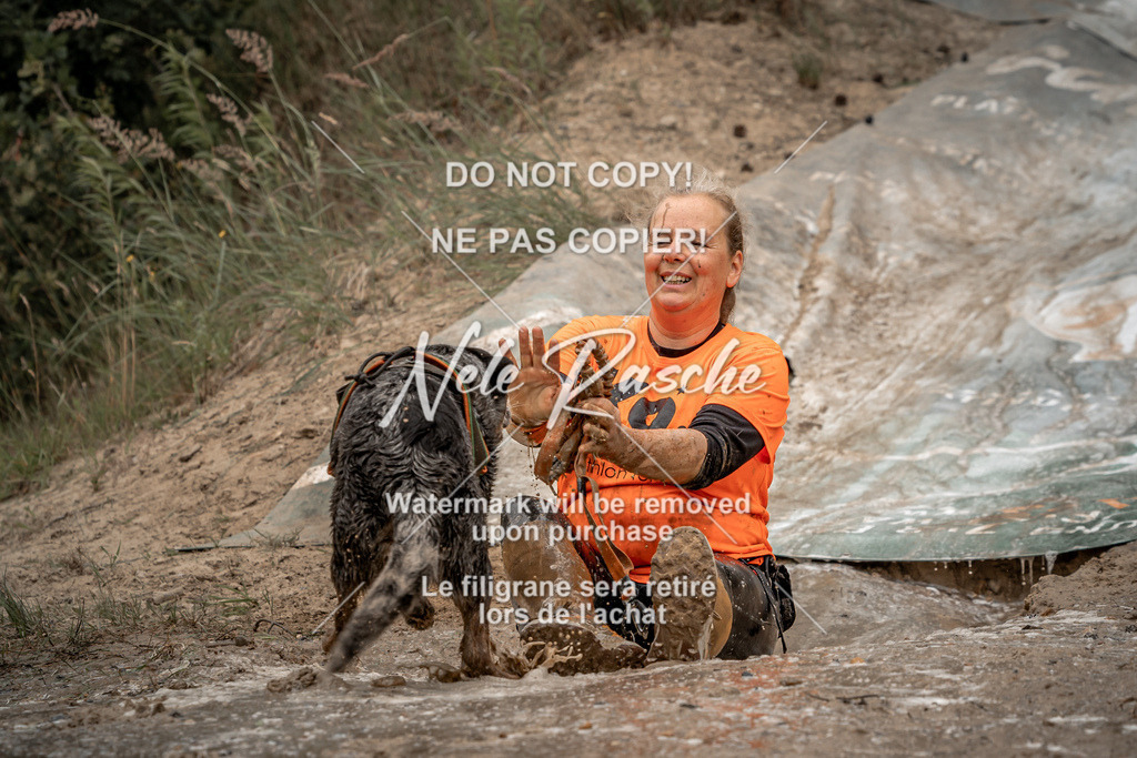 nelerasche_sa1345-1430_380 | nelerasche