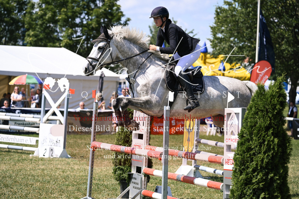 DSC_0090 | Pferde- und Turnierfotografie in Westsachsen. Pferdeportraits, Auftragszeichnungen und intuitive Kunst.