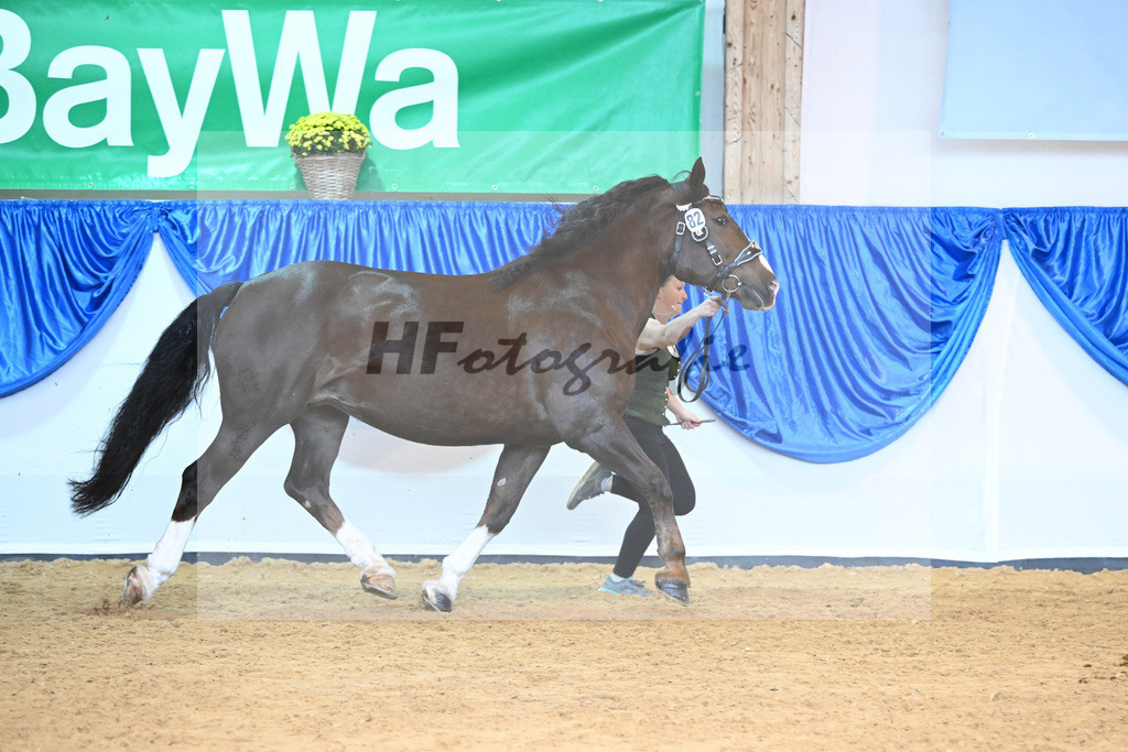 Kat-Nr. 82 Rebeca_Bauer_53220425 | hf-fotografie - Realisiert mit Pictrs.com