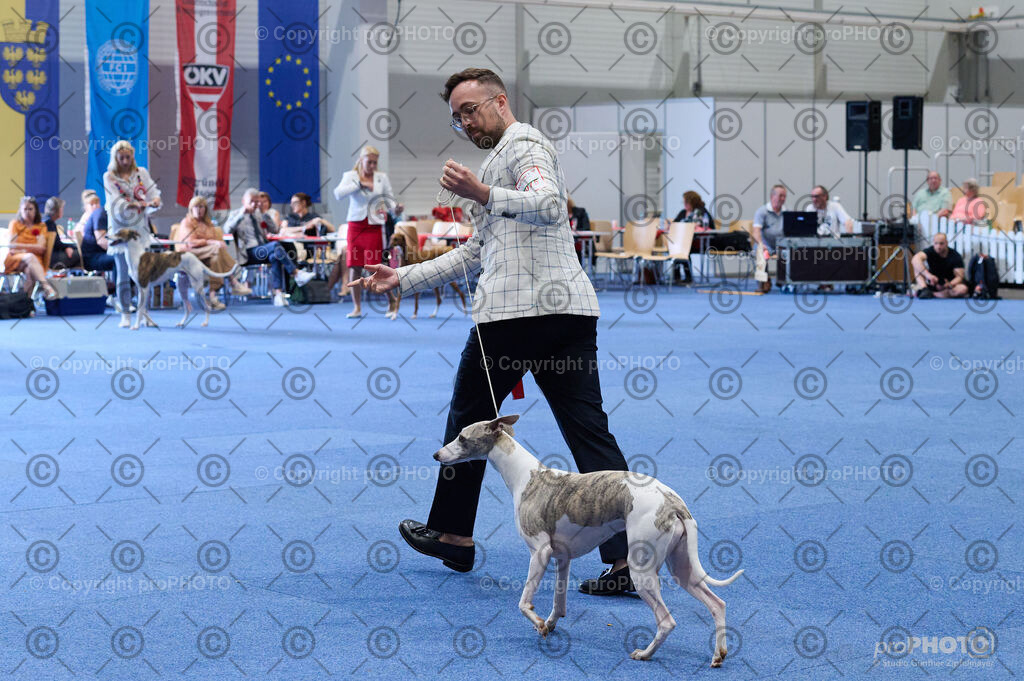 202406_ÖKV-IHA-Tulln24_DSC_5235 | proPHOTO - Realisiert mit Pictrs.com