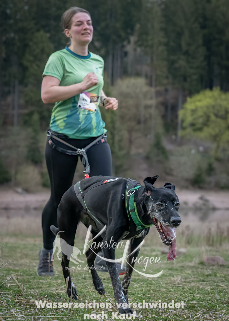 1848_ZZ90249-Bearbeitet-Bearbeitet-1 | kk-dogfotos