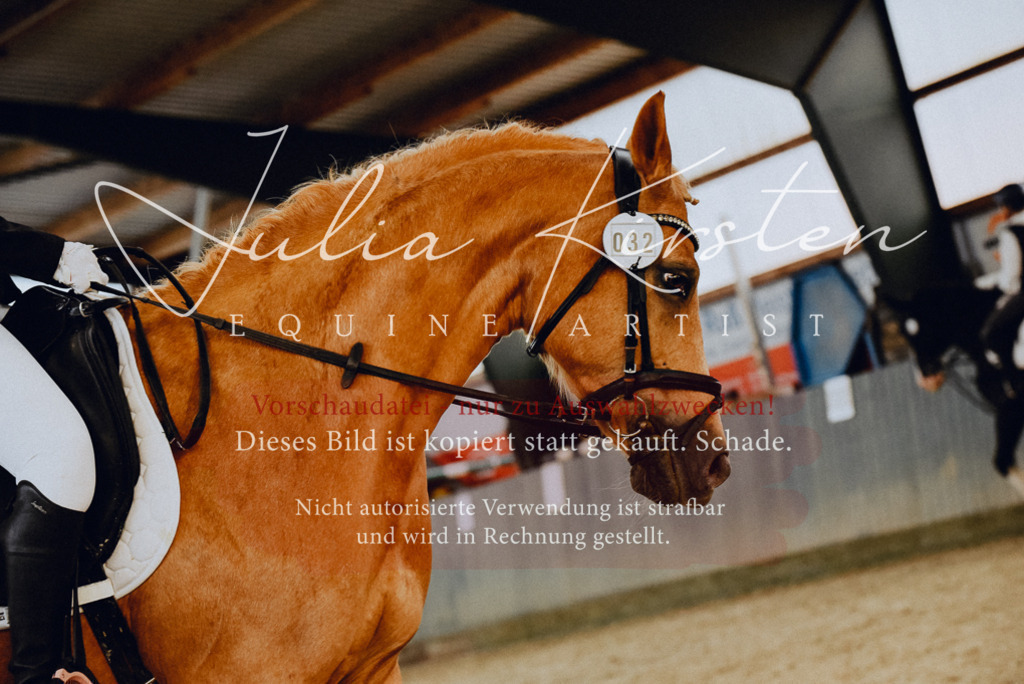 DSC_7225 | Pferde- und Turnierfotografie in Westsachsen. Pferdeportraits, Auftragszeichnungen und intuitive Kunst.