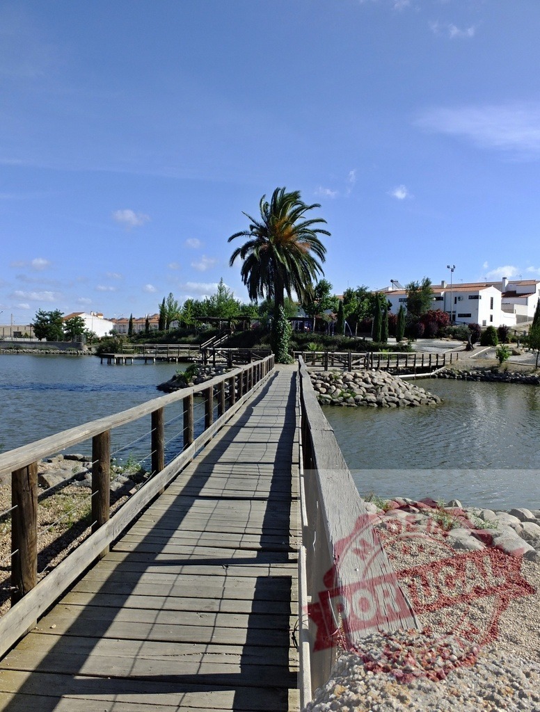 Wooden bridge crossing tranquil lake with palm tree. Spain - Extremadura | Wooden boardwalk spanning across a peaceful lake with a lush palm tree on a sunny day - Realized with Pictrs.com