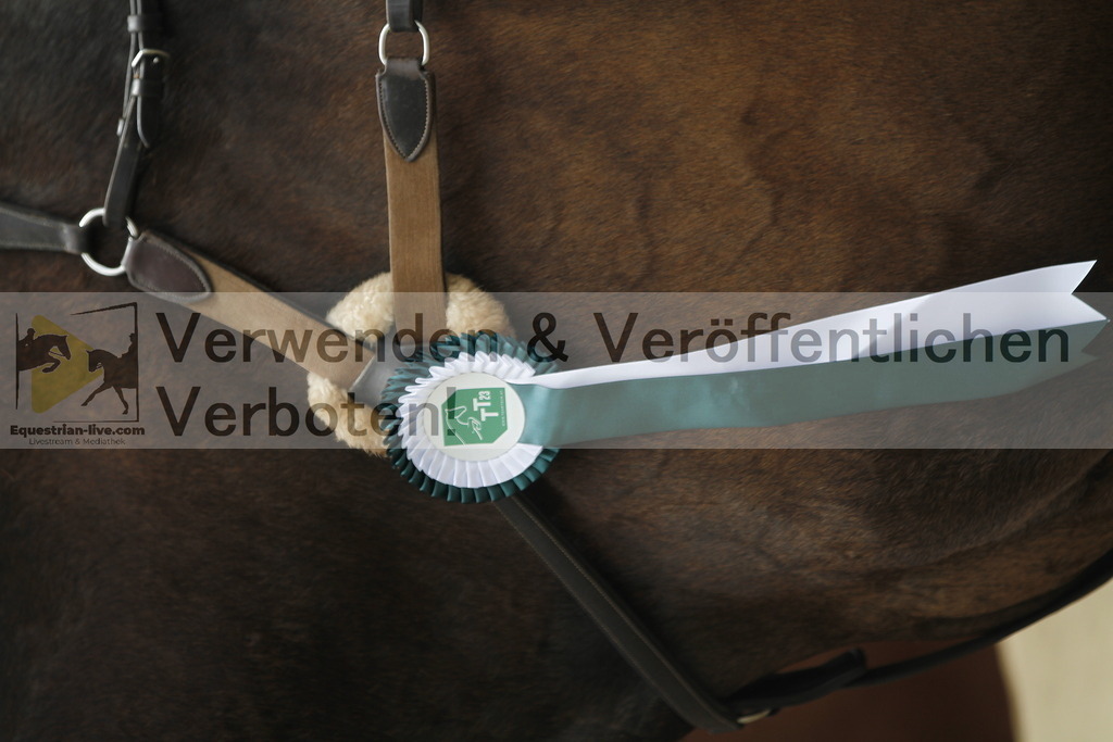 _MG_4307 | equestrian-live-com