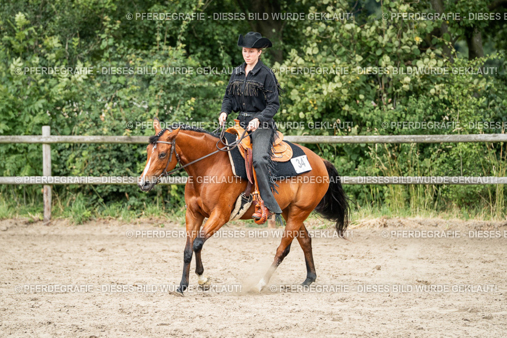 DSC02248 | Pferdegrafie