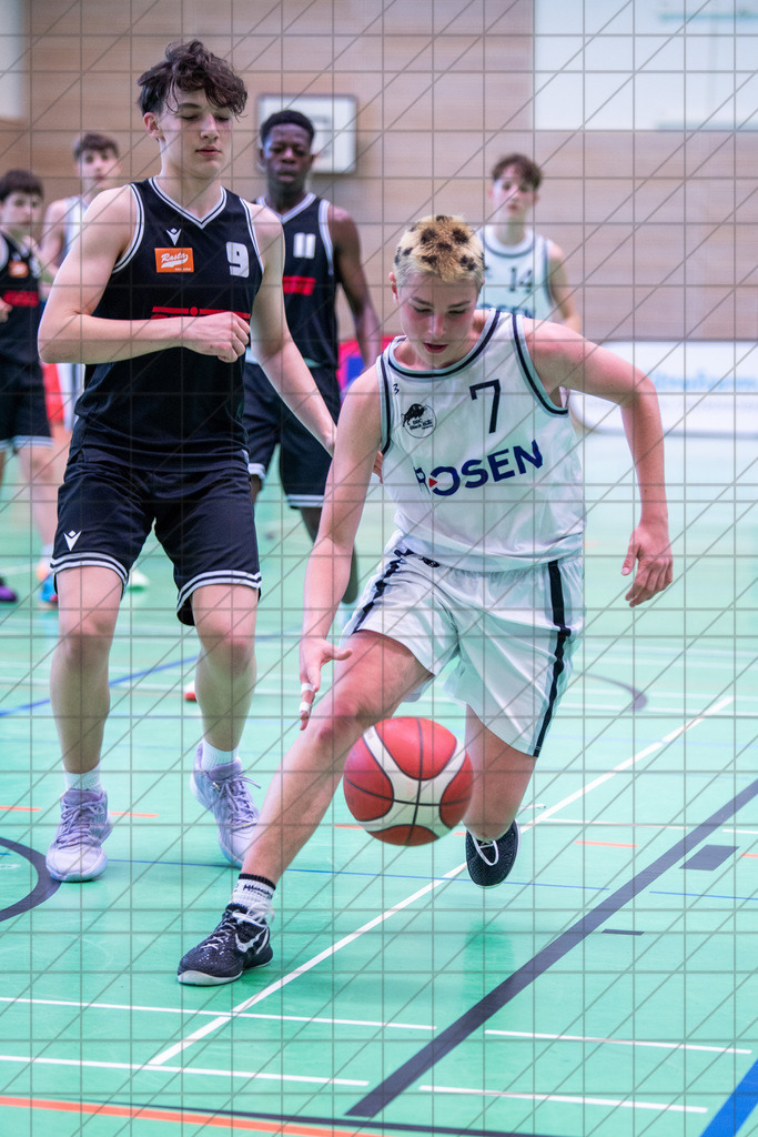 @Martin König_20240623__DSC2818 | bullenfotos|de - Realisiert mit Pictrs.com