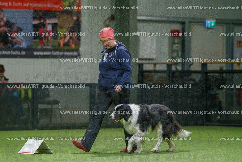 7R504583 | Professionelle Tierfotografie in Mönchengladbach von Daniel Wirth (allesWIRTHgut). Liebevolle & natürliche Bilder von Hunden & Katzen für unvergessliche Erinnerungen.