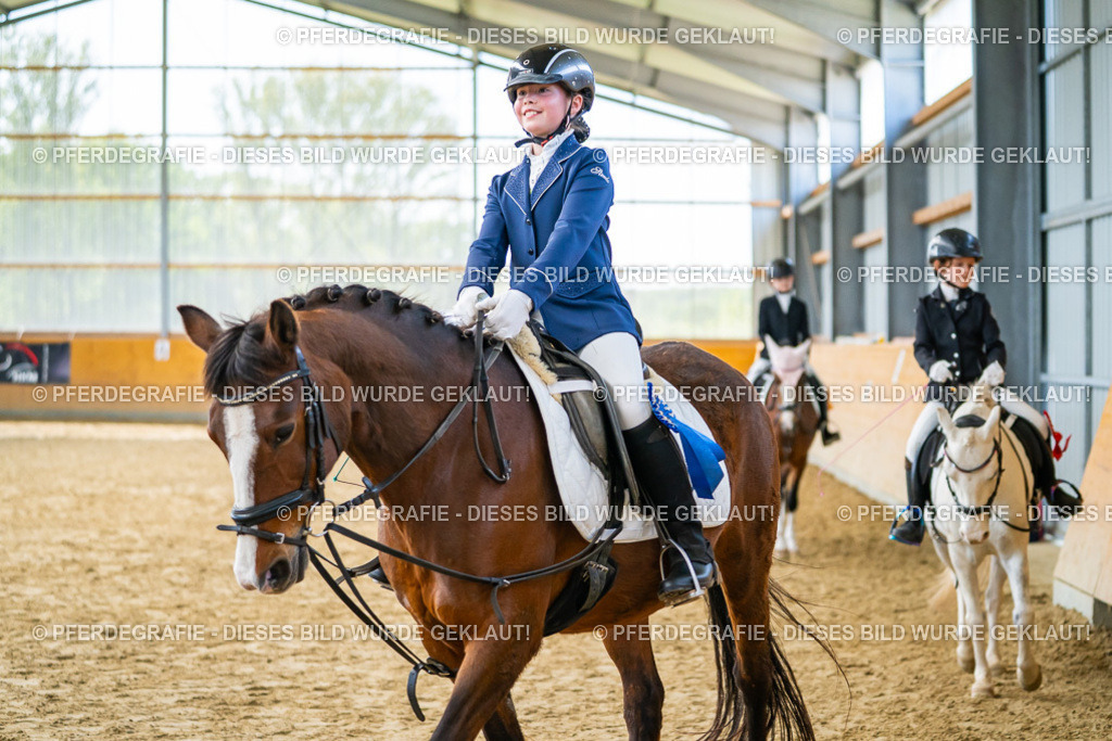 DSC01224 | Pferdegrafie