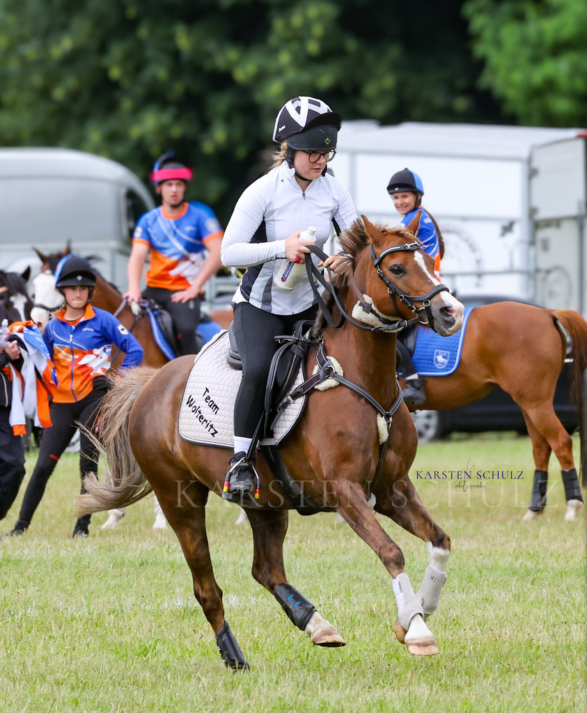 1B3A1361 | Reitsport Reiten
