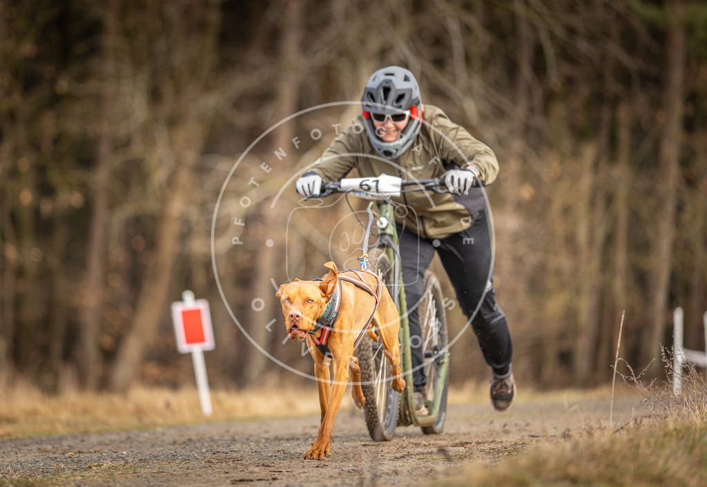 DV3A3514 | Hundefotografie, Tierfotograf, Pfotenfotografie, Fotoshooting Hund, Hunde Portrait, Hundesport, Hundeportraits, Heideshooting, Hunde, Sportfotograf, Hundefotograf, Turnierhundsport, THS,  - Realisiert mit Pictrs.com