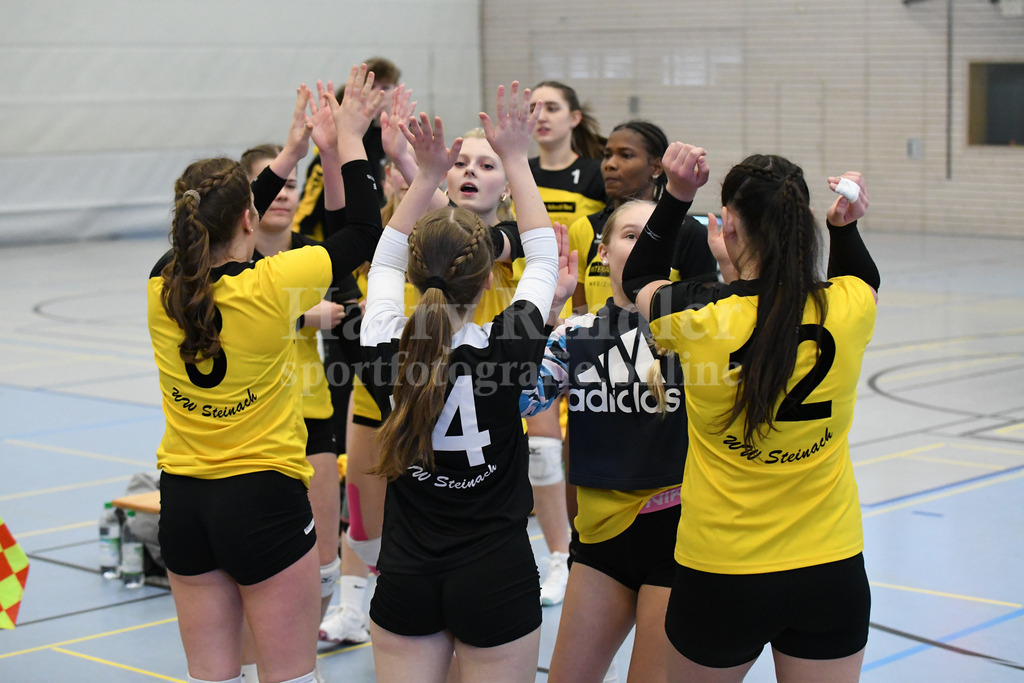 TSV Deggendorf Damen  : FC Ruderting | TSV Deggendorf Damen Volleyball - Realisiert mit Pictrs.com