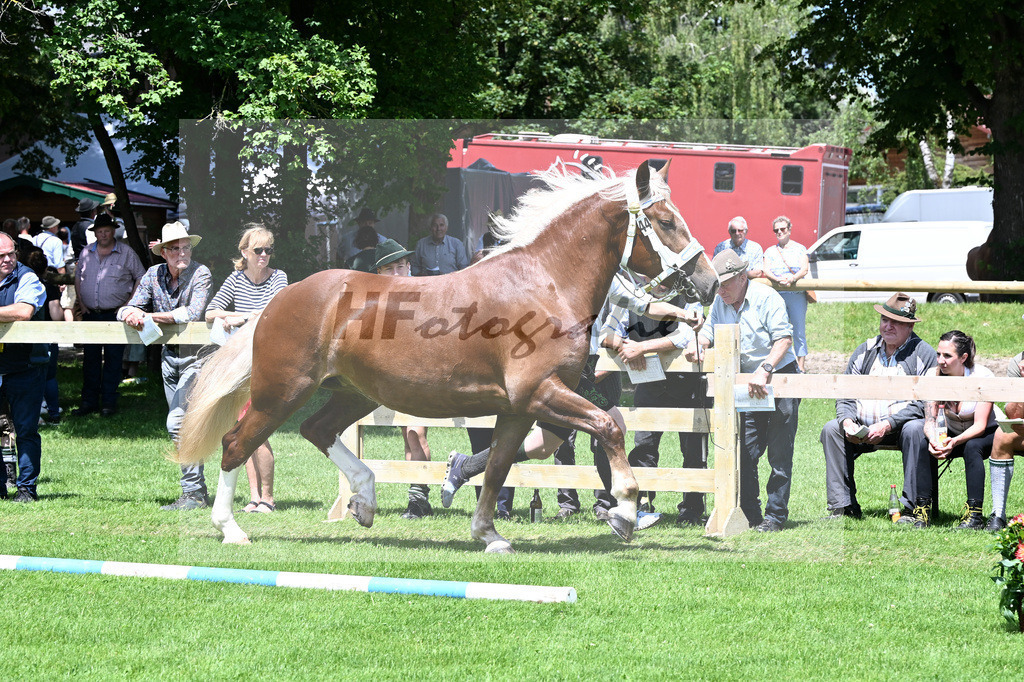 Kat-Nr. 44 Olympia v. Jupiter_Schaeffler_22240769 | hf-fotografie - Realizzato con Pictrs.com