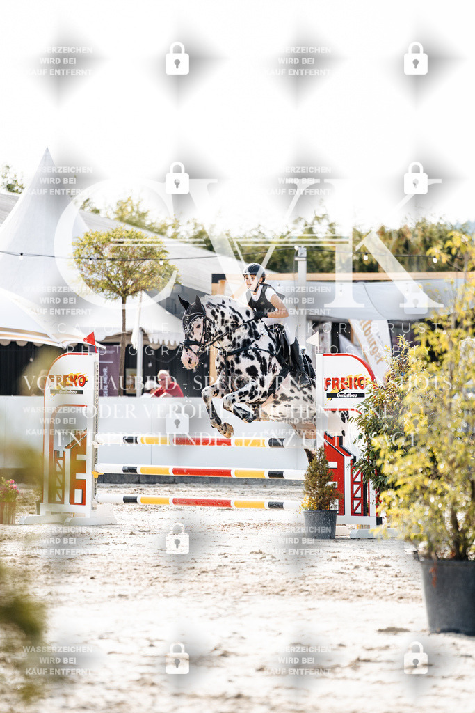 CK905964 | Turnierfotografie Pferdefotografie Trier Rheinland-Pfalz Pferdesport Reitsport Tierfotografie Sportfotografie Pferdevideo Pferdevideografie Equestrianvideography equestrianphotography  - Realisiert mit Pictrs.com