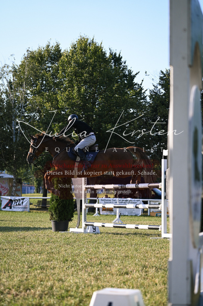 DSC_1838 | Pferde- und Turnierfotografie in Westsachsen. Pferdeportraits, Auftragszeichnungen und intuitive Kunst.