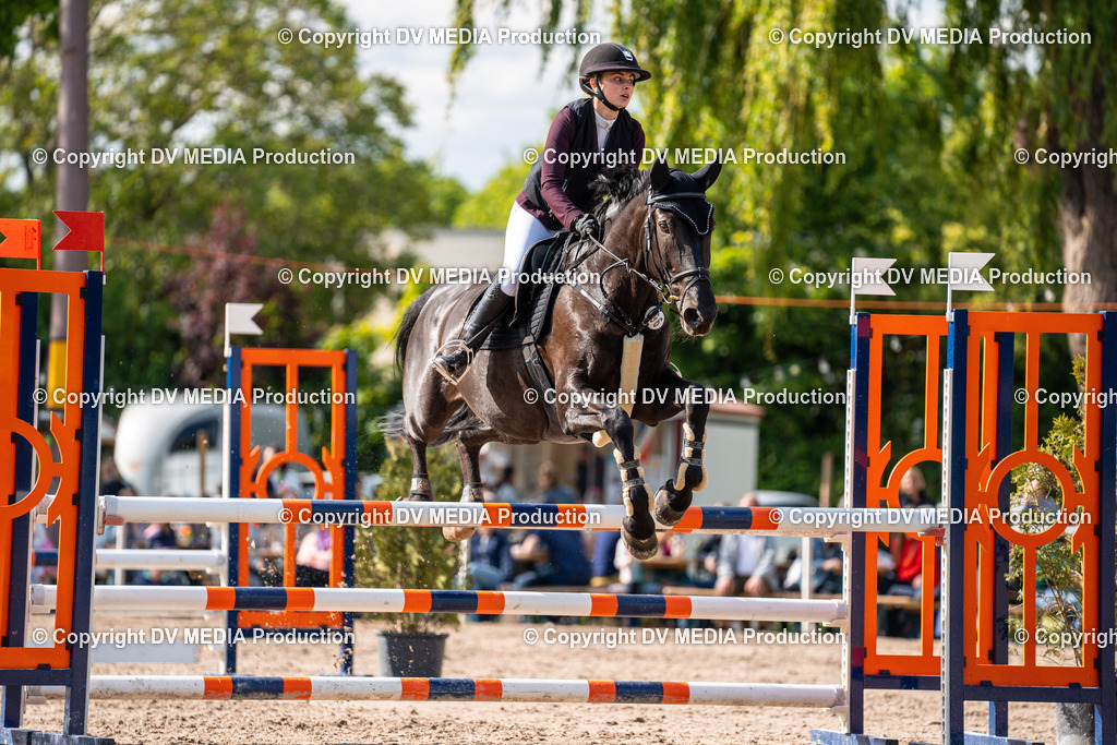 Eppelheim Tag 2-596 | dv-media-shop - Realisiert mit Pictrs.com