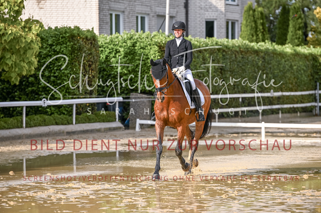 Schugtsche-Aluta25-54.Dressurprf.L1Trense-177 | Schugtsche Fotografie - Realisiert mit Pictrs.com