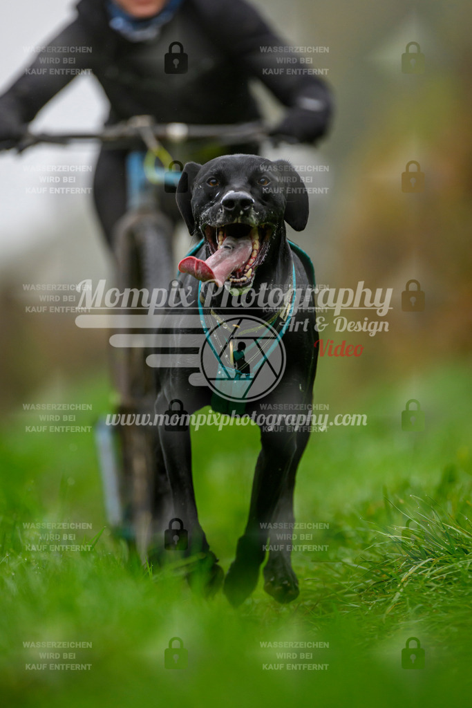 MompixPhotography_20TSB_E8_DS1-7 | PayLife