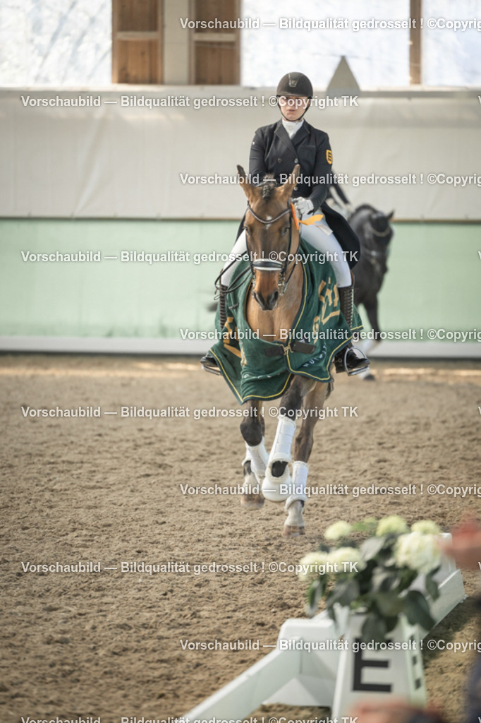 _D5A2528 | Emotionale Pferde- & People-Fotografie rund um Heidelberg, Leimen & Umgebung. Natürliche Fotos von Pferd, Mensch & Familie. Jetzt Termin sichern!