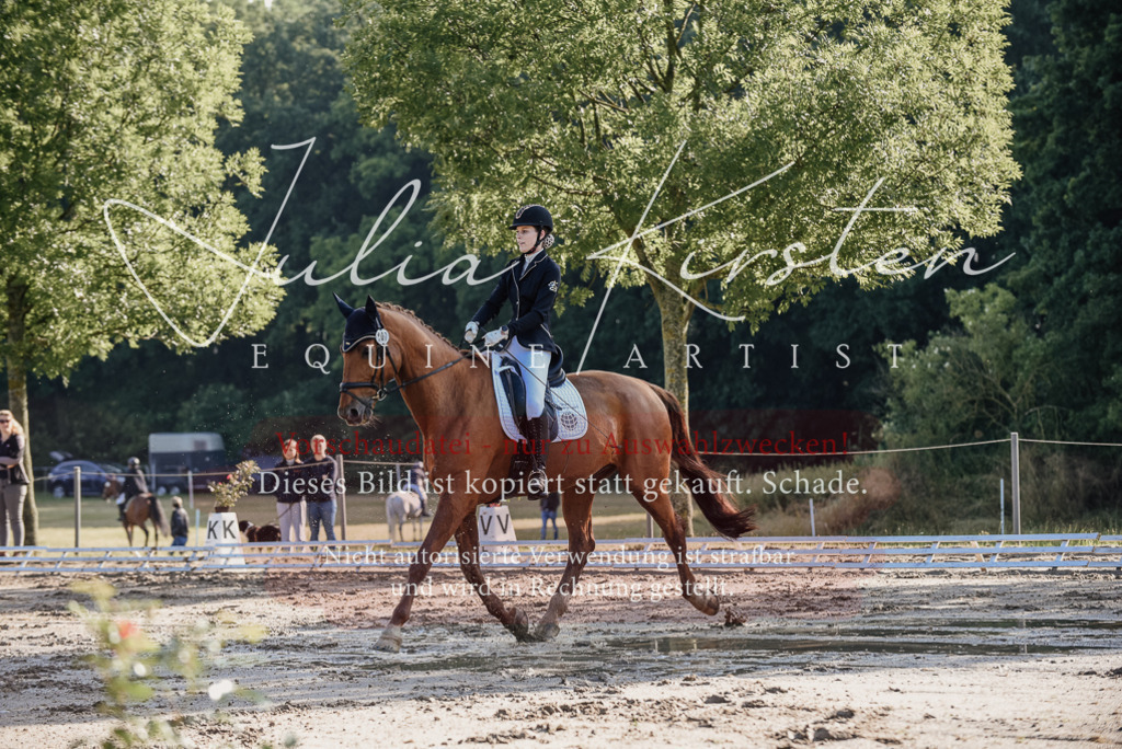 DSC_7746 | Pferde- und Turnierfotografie in Westsachsen. Pferdeportraits, Auftragszeichnungen und intuitive Kunst.