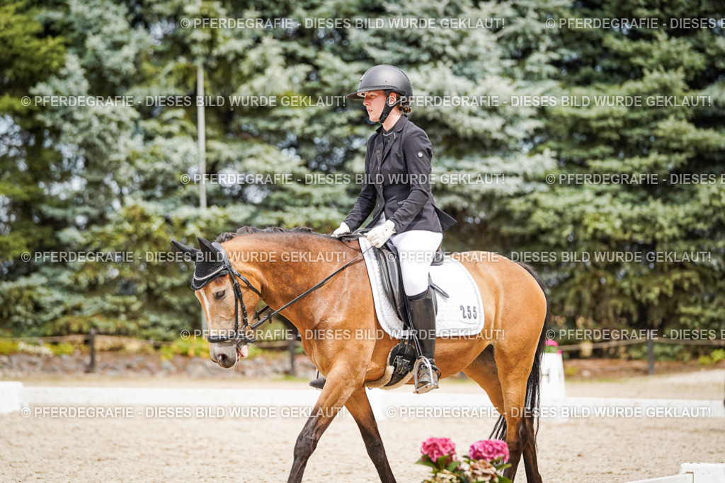 DSC04421 | Pferdegrafie