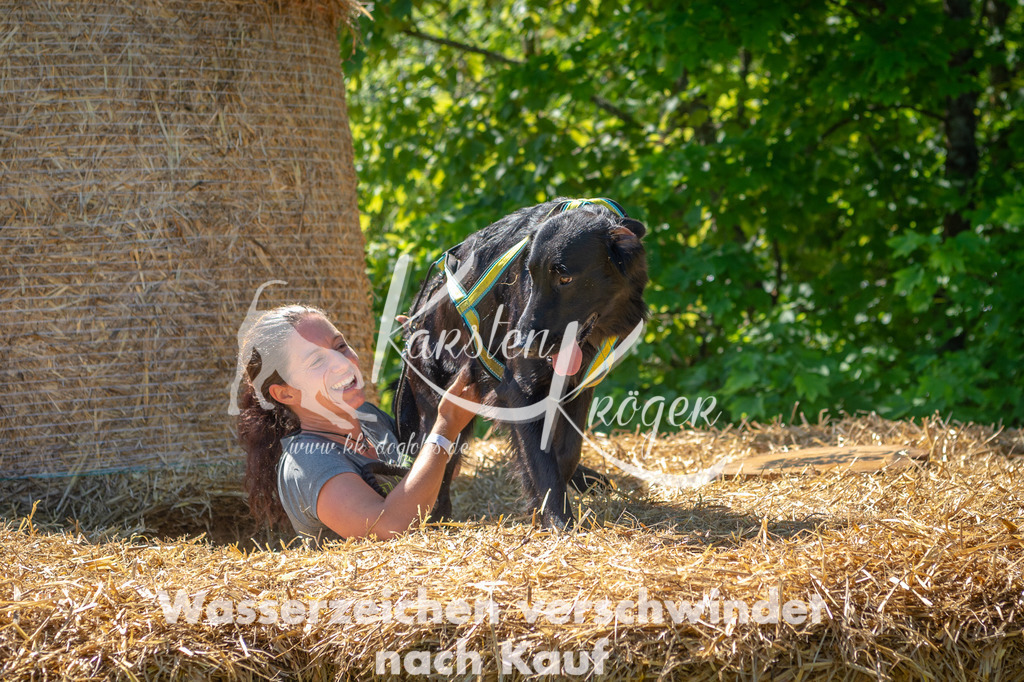 1054STR_5996 | kk-dogfotos