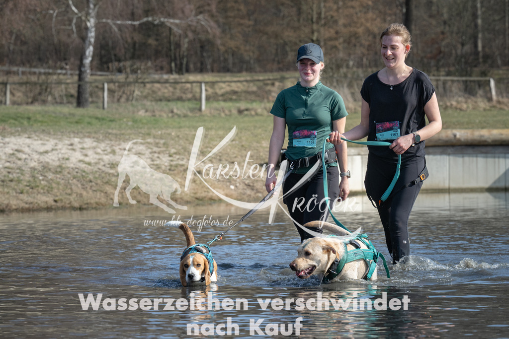 1341_ZZ97804 | kk-dogfotos