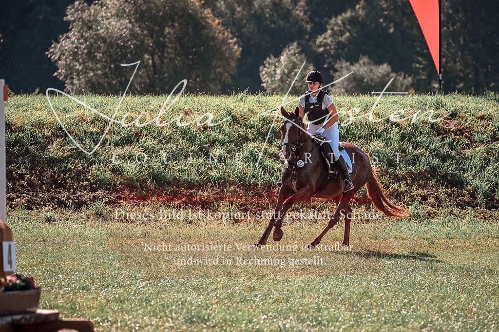 DSC_0749 | Pferde- und Turnierfotografie in Westsachsen. Pferdeportraits, Auftragszeichnungen und intuitive Kunst.