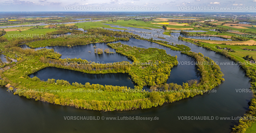 Xanten240402301BislicherInselAlterRhein | Luftbild, Alter Rhein und Bislicher Insel, Auenlandschaft  und NSG Naturschutzgebiet, Vogelschutzgebiet und Fernsicht, Lüttingen, Xanten, Niederrhein, Nordrhein-Westfalen, Deutschland