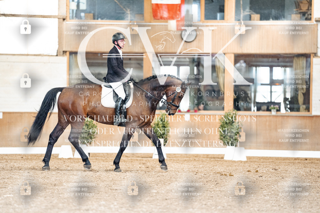 CK901309 | Turnierfotografie Pferdefotografie Trier Rheinland-Pfalz Pferdesport Reitsport Tierfotografie Sportfotografie Pferdevideo Pferdevideografie Equestrianvideography equestrianphotography  - Realisiert mit Pictrs.com
