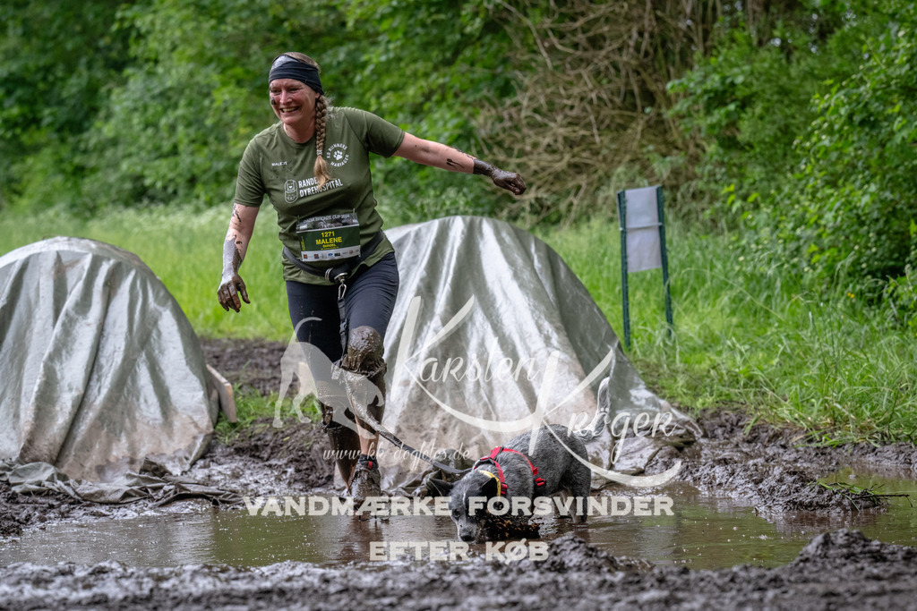 1632_ZZ94517 | kk-dogfotos