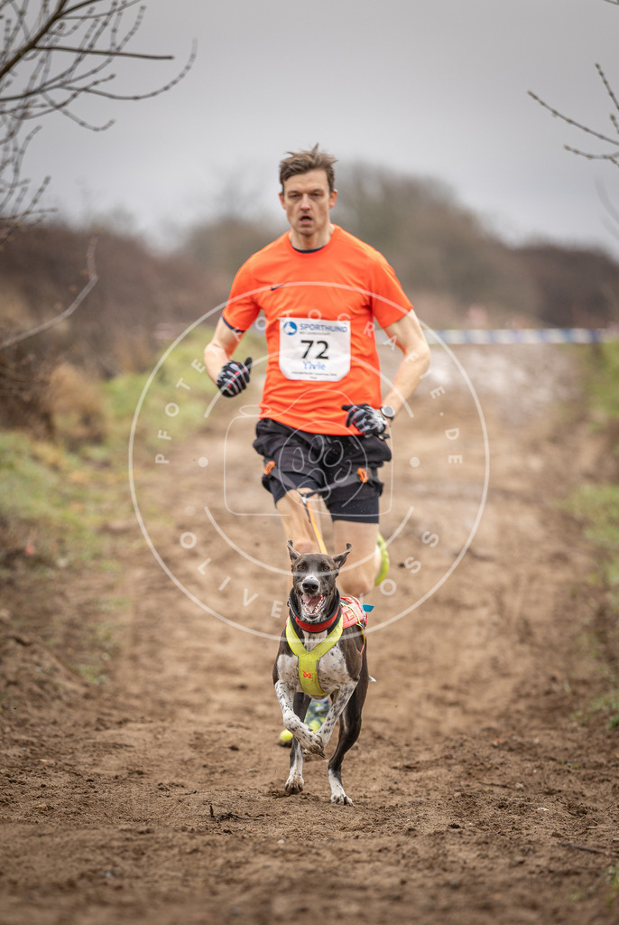 DV3A9662 | Hundefotografie, Tierfotograf, Pfotenfotografie, Fotoshooting Hund, Hunde Portrait, Hundesport, Hundeportraits, Heideshooting, Hunde, Sportfotograf, Hundefotograf, Turnierhundsport, THS,  - Realisiert mit Pictrs.com