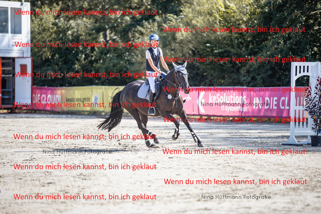 BK1A7016 | Turnierbilder Turnierfotos Nina Hüffmann Turnierfotografie Pferdefotografie Tierzeichnung Haustierzeichnung Pferdezeichnung Hundezeichnung Videograf  - Realisiert mit Pictrs.com