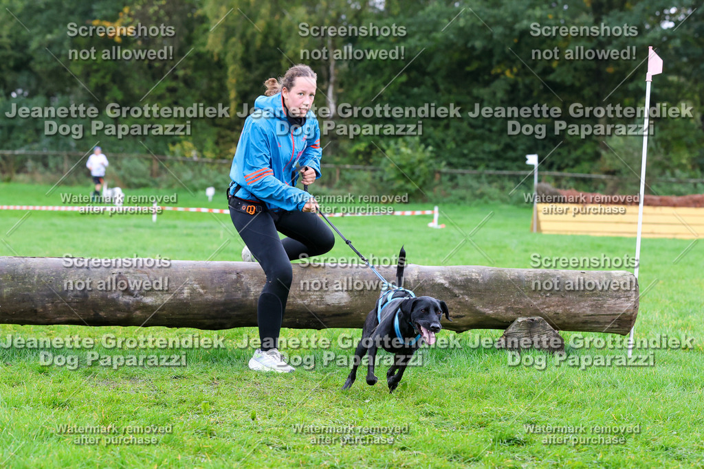 Dog Paparazzi -  SD1026-1886 | Dog Paparazzi Jeanette Grottendiek Fotografie & Videografie - Realisiert mit Pictrs.com