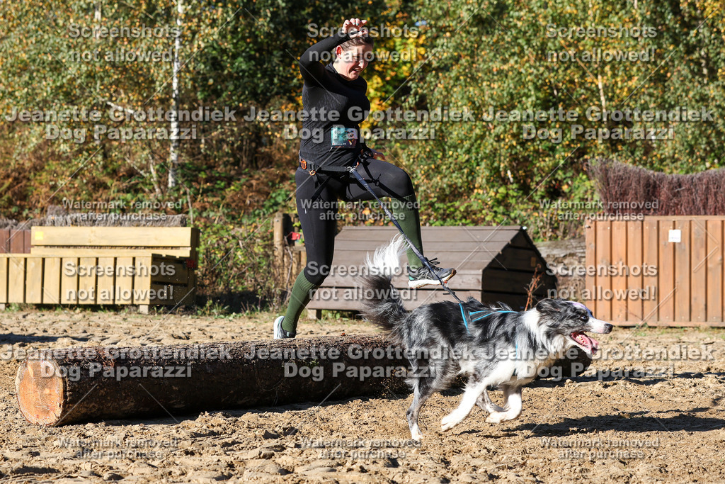 Dog Paparazzi - Strongdog 10-25-1983 | Dog Paparazzi Jeanette Grottendiek Fotografie & Videografie - Realisiert mit Pictrs.com