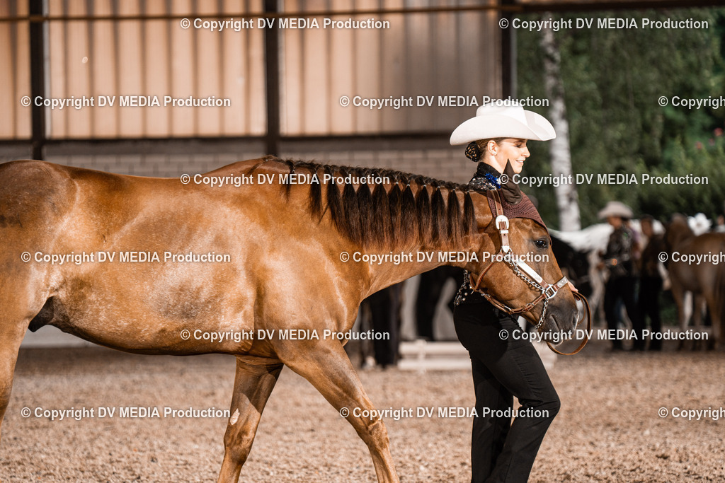 ZH200191 | dv-media-shop - Realisiert mit Pictrs.com