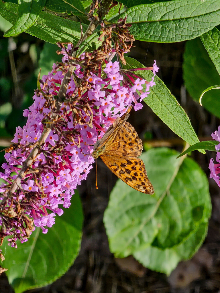 PSX_20230908_221246 | mtkfoto_ - Realisiert mit Pictrs.com